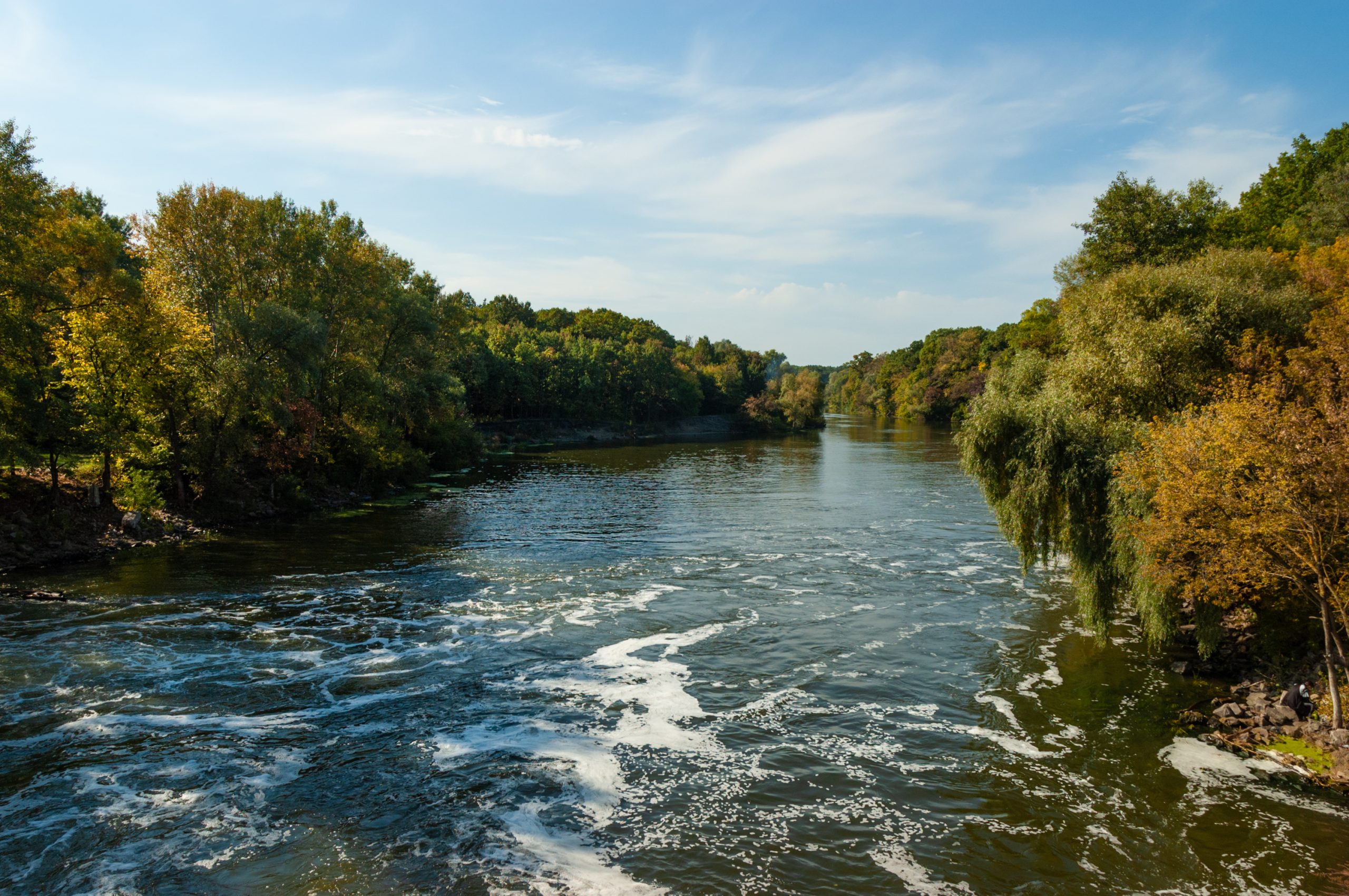 Moore charitable foundation Championing Clean Water Scenic panorama of river flowing between the banks overgrown with green trees