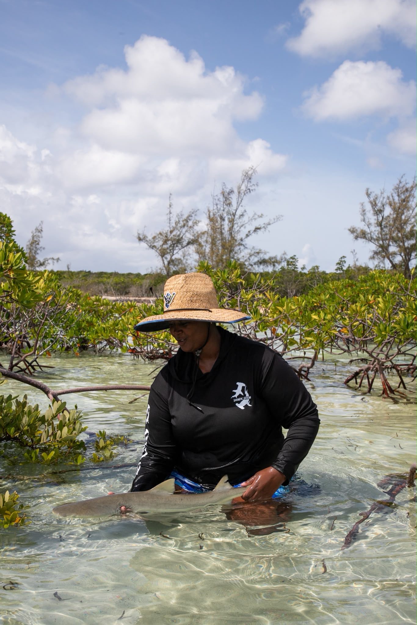 Person wearing a straw hat and black shirt stands in shallow, clear water among mangroves, holding a small shark by its side fins.